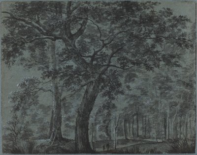 Bosques de noche con viajeros de Joris van der Haagen