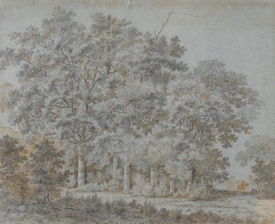 Bosque y jinete de Joris van der Hagen