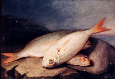 Spanish: Bodegón de peces de José Arias Ramírez