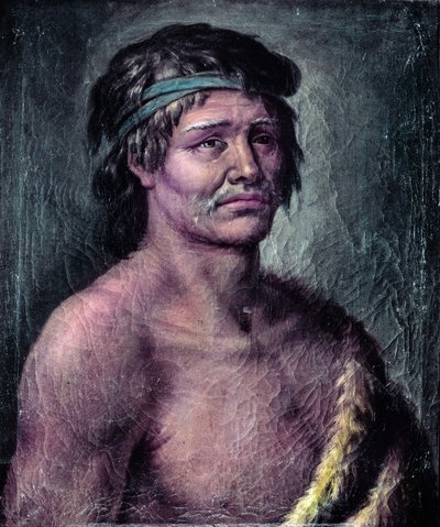 Retrato de un indio de la Patagonia, Dibujo realizado durante la expedición de Alessandro Malaspina en América del Sur, c. 1791 (dibujo) de José del Pozo