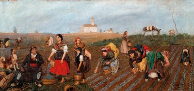 "" La Colecta del Azafrán "" Detalle. Pintura de José Albinana Bru (siglo XIX). 1877. Valencia. Museo de Bellas Artes San Pío V. de Jose Bru Albinana