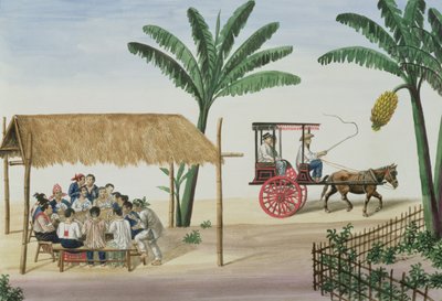 Imagen desconocida de Jose Honorato Lozano