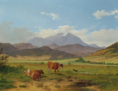 paisaje con montaña nevada de Josef Feid