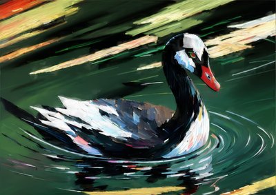 Animales: cisne negro 1 de Josef Johann Michel