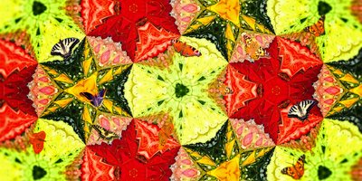 Criaturas: Mariposas en la Rosaleda de Josef Johann Michel