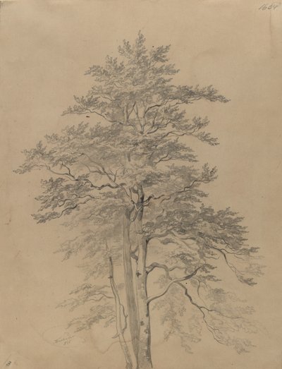  de Josef Kriehuber