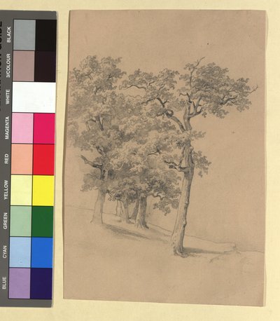 Estudio de árbol de Josef Kriehuber