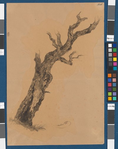 Árbol desnudo - Estudio de un árbol de Josef Kriehuber