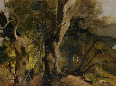 Waldstudie de Josef Navrátil