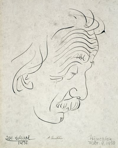 Albert Einstein de Josef Scharl