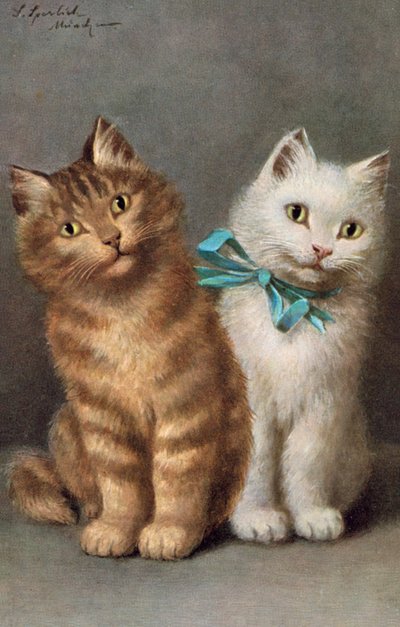 Postal felina (litografía en color) de Josef Sperlich