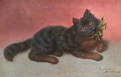 Postal felina (litografía en color) de Josef Sperlich