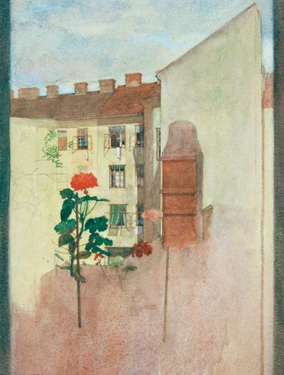 Ver por la ventana de Josef Wawra