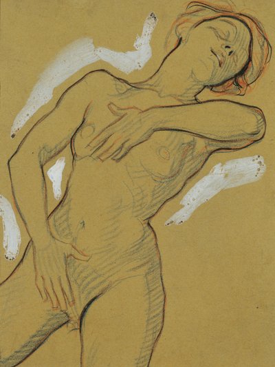 chica desnuda de Josef Wawra