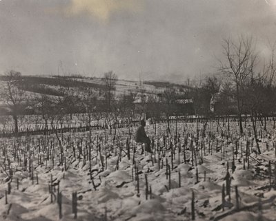 Cementerio militar (foto en b/n) de Josef Zohles