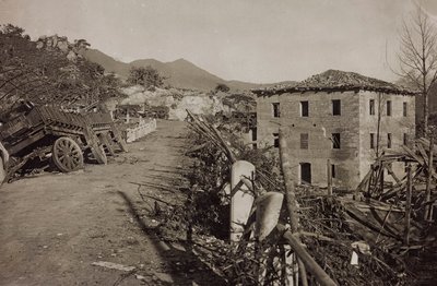 Álbum 