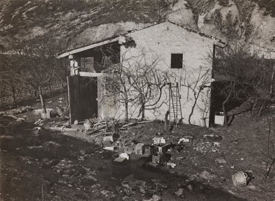 Álbum 
