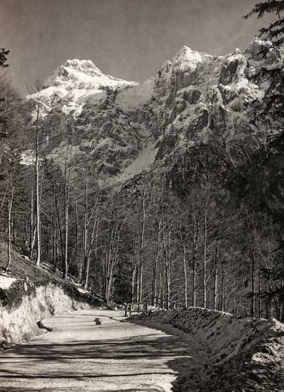 Camino de montaña de Josef Zohles