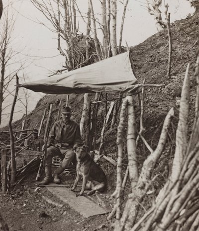 Álbum "Meine weltkriegs - Erinnerungen South-West Front (Carintia, Italia, Tirol del Sur) 31/03/1915-12/11/1918 - Josef Zohles Wien": perro militar bajo una tienda de Josef Zohles