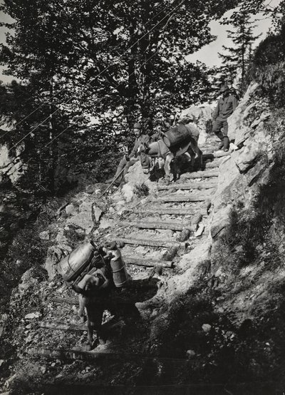 Álbum "Meine weltkriegs - Erinnerungen South-West Front (Carintia, Italia, Tirol del Sur) 31/03/1915-12/11/1918 - Josef Zohles Wien": mulas del ejército en una pendiente de Josef Zohles