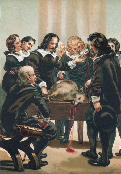 William Harvey demostrando la circulación de la sangre de Josep or Jose Planella Coromina