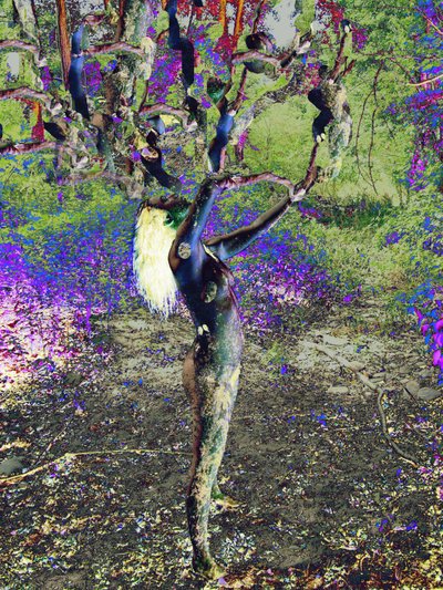 Árbol azul de Joseph Angilella Auquier