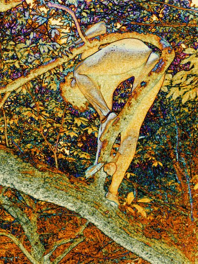 En el árbol de Joseph Angilella Auquier