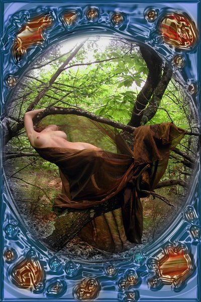 En el bosque de Joseph Angilella Auquier