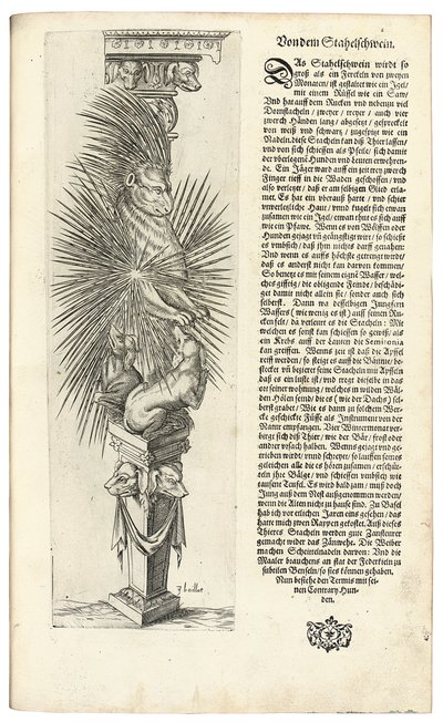 Columna decorada con una forma animal, 1604 de Joseph Boillot