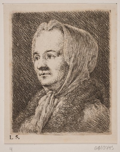 Retrato de una mujer de mediana edad de Joseph Brecheisen