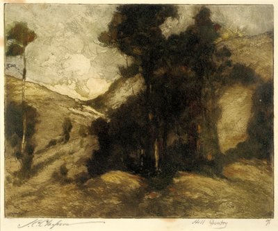 Hill Country de Joseph C. Claghorn