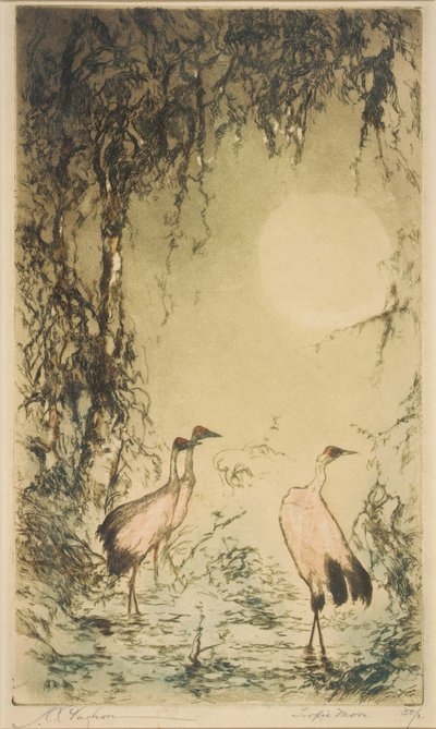 Luna Trópica de Joseph C. Claghorn