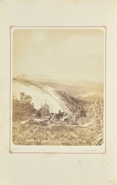 En las cumbres de las montañas de Joseph Collier