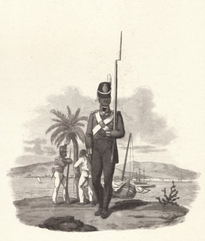 Un soldado del 5º Regimiento de las Indias Occidentales, c. 1812, 1909 de Joseph Constantine Stadler
