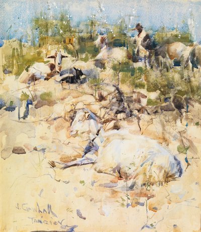 Cabras en una ladera, Tánger (acuarela con toques de gouache sobre papel) de Joseph Crawhall