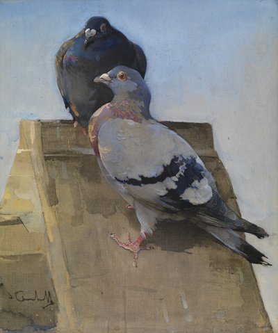 Palomas en el tejado (gouache sobre lino) de Joseph Crawhall