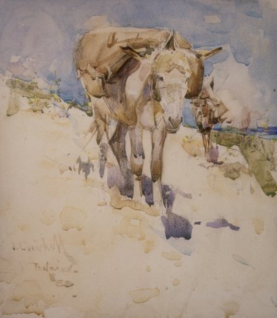 Tánger de Joseph Crawhall