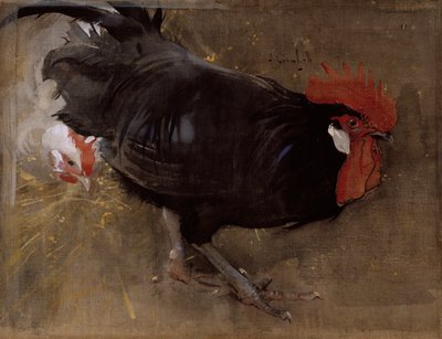 El gallo negro (gouache sobre lino) de Joseph Crawhall