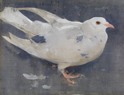 La paloma (gouache sobre lino) de Joseph Crawhall