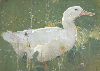 El Draco Blanco de Joseph Crawhall