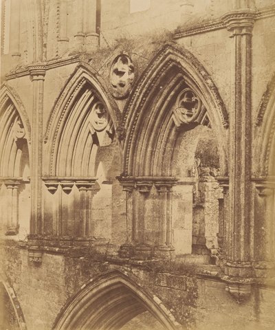 Abadía de Rivaulx. Los arcos del triforio de Joseph Cundall