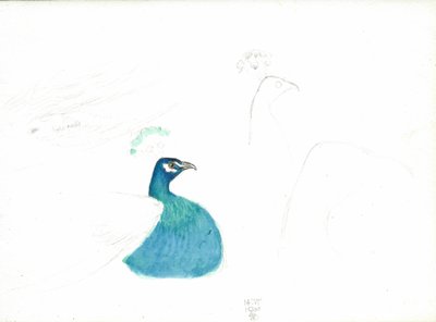 Pavo real mirando a la derecha, 14.VI.1900, 1900 de Joseph Edward Southall