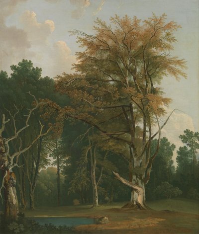 Árboles en un claro del bosque de Joseph Farington