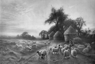 Ovejas alimentándose de Joseph Farquharson