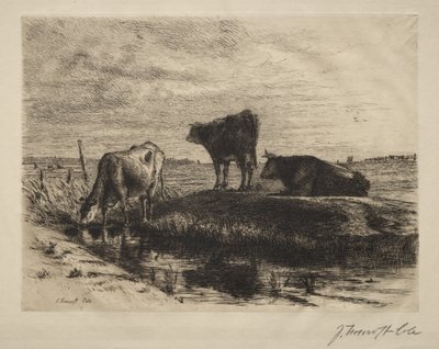 Las tres vacas de Joseph Foxcroft Cole