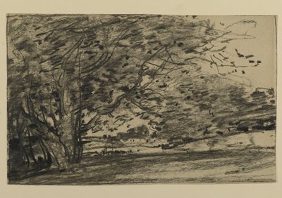 Estudio de árboles, 1870 de Joseph Frank Currier