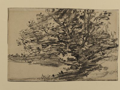 Estudio de árboles, 1870 de Joseph Frank Currier