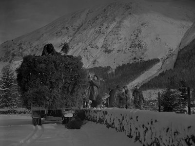 Camión cargado de árboles de Navidad en una carretera nevada de Joseph Hardman