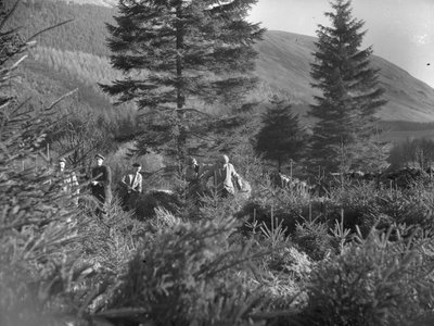 Hombres trabajando entre árboles de Navidad talados en Thirlmere de Joseph Hardman