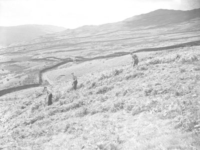 Tres hombres en el campo segando helechos de Joseph Hardman